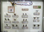 hachi-gitai.jpg