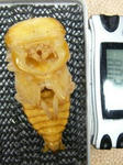 cyuracyampl20.8g.JPG