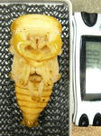 tumrinterl20.3g.JPG