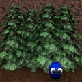 Treasure Hunter 2