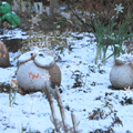 ケッショウしゃんさがし