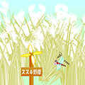 ツッキーちゃん２