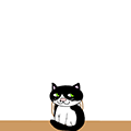 NEKOS ROOM