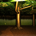 Deep Forest 3