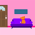 The CAT!