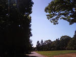 MA320494.JPG