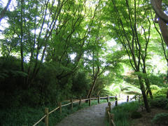 IMG_0841.JPG