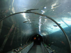 IMG_0719.JPG