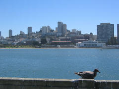 IMG_0766.JPG