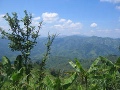 IMG_2908.JPG