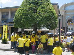 IMG_2229.JPG