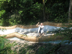 IMG_2467.JPG