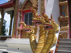 IMG_2485.JPG