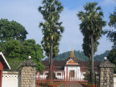 IMG_2795.JPG