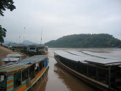 IMG_2618.JPG