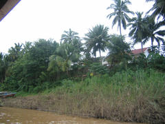 IMG_2626.JPG