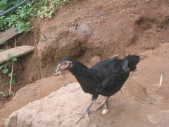 IMG_2664.JPG