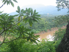 IMG_2724.JPG