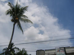 IMG_2518.JPG