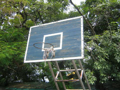 IMG_2556.JPG