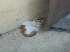 IMG_2372.JPG