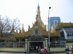 IMG_3586.JPG