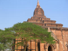 IMG_3768.JPG