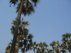 IMG_3840.JPG