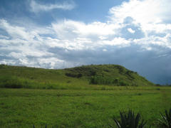 IMG_0906.jpg