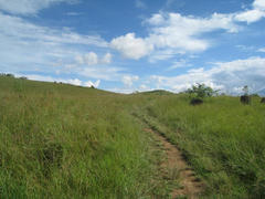 IMG_0942.jpg