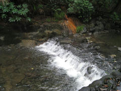 IMG_1390.JPG