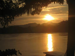 IMG_1271.jpg