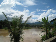 IMG_1078.jpg