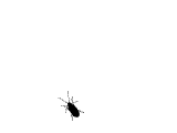 4014959067801219449.jpg.gif