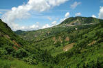 s-DSC_0196.jpg