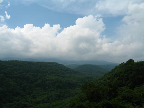 IMG_6976.JPG