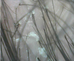7029d799.png