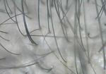 f8261b6b.png