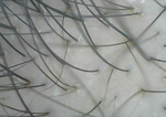 c67b7b8f.png