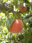 09f7154e.jpg