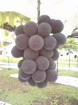 325808e0.jpg