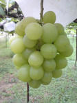 c0487cde.jpg
