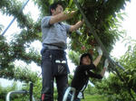 c68971b0.jpg
