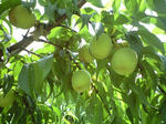 b9a4e751.jpg