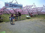 20110416.jpg