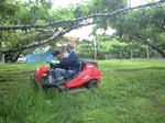 20110613.jpg