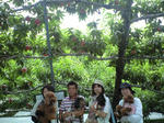 20110729-1.JPG