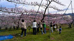 20120415-4.jpg