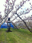 20120427-1.JPG