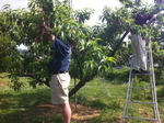 20120527.JPG